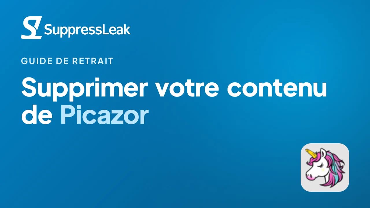 Supprimer votre contenu de Picazor (guide DMCA)