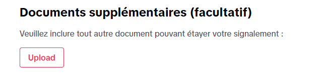 Section annexes TikTok
